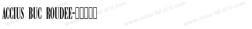 Accius Buc RouDEE字体转换
